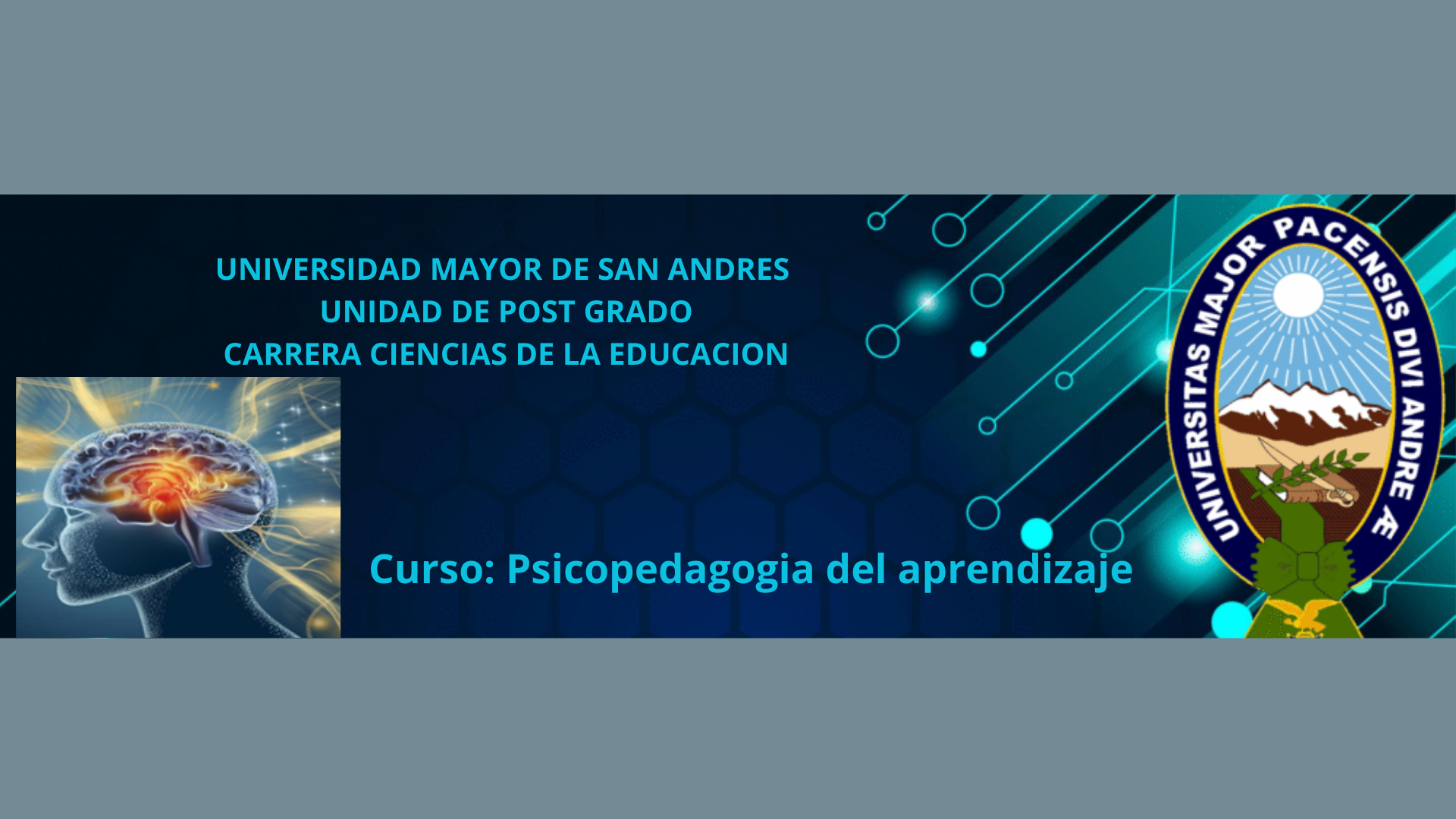 Curso: Psicopedagogía del aprendizaje 