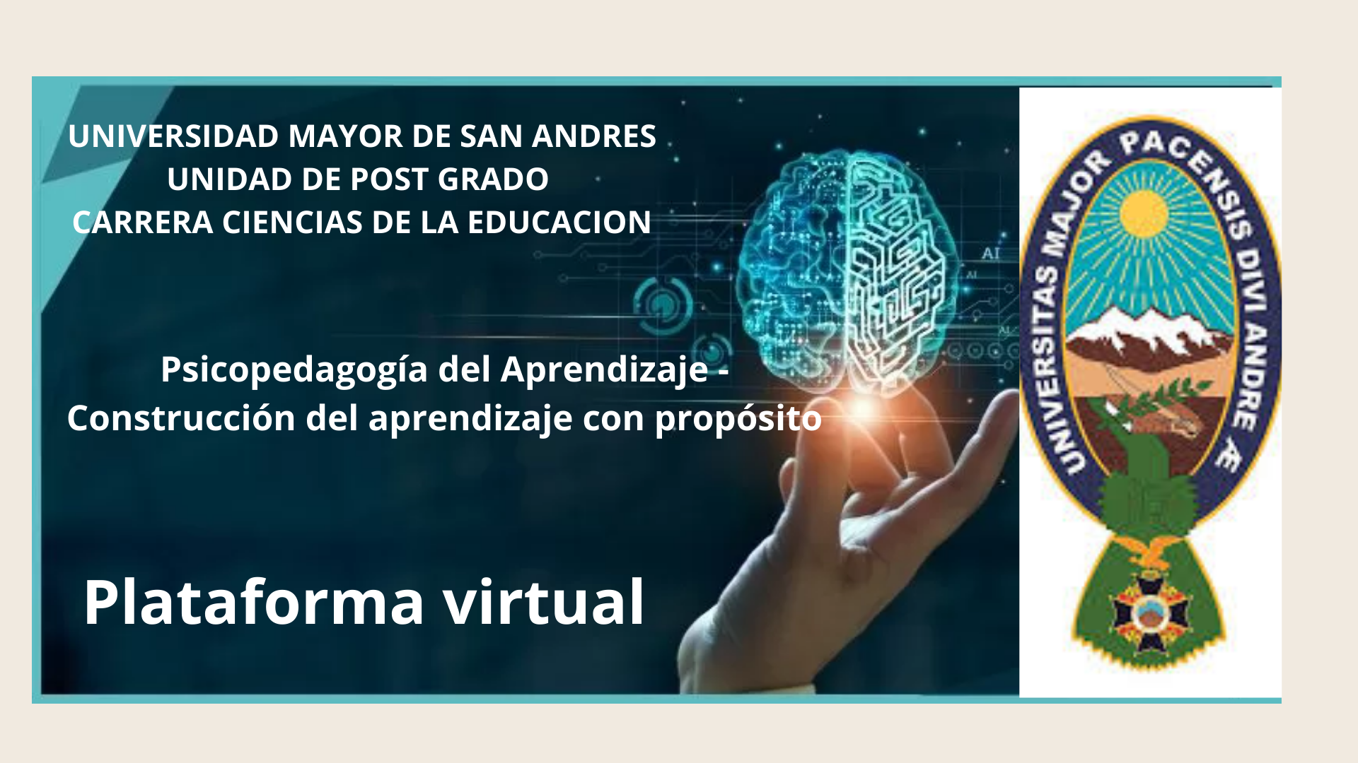 Plataforma virtual de aprendizaje psicopedagógico 